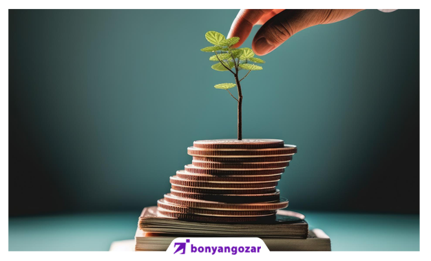 راه‌های تقویت سواد مالی-بنیانگذار