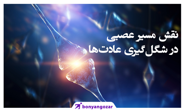 نقش مسیر عصبی در شکل‌گیری عادت‌ها-بنیانگذار