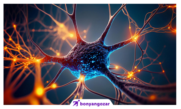 مسیر عصبی چیست-بنیانگذار