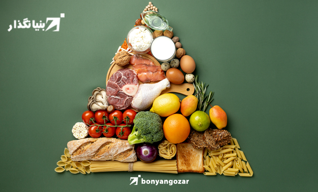 تغذیه مناسب یعنی به اندازه از هر نوع ماده غذایی استفاده کنیم-بنیانگذار